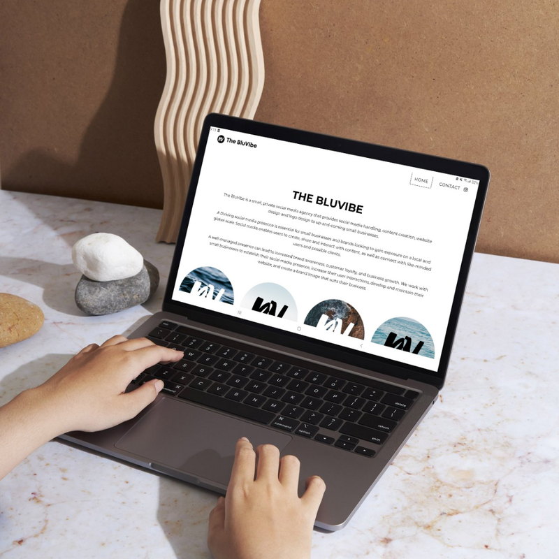 The BluVibe Website Mock-Up